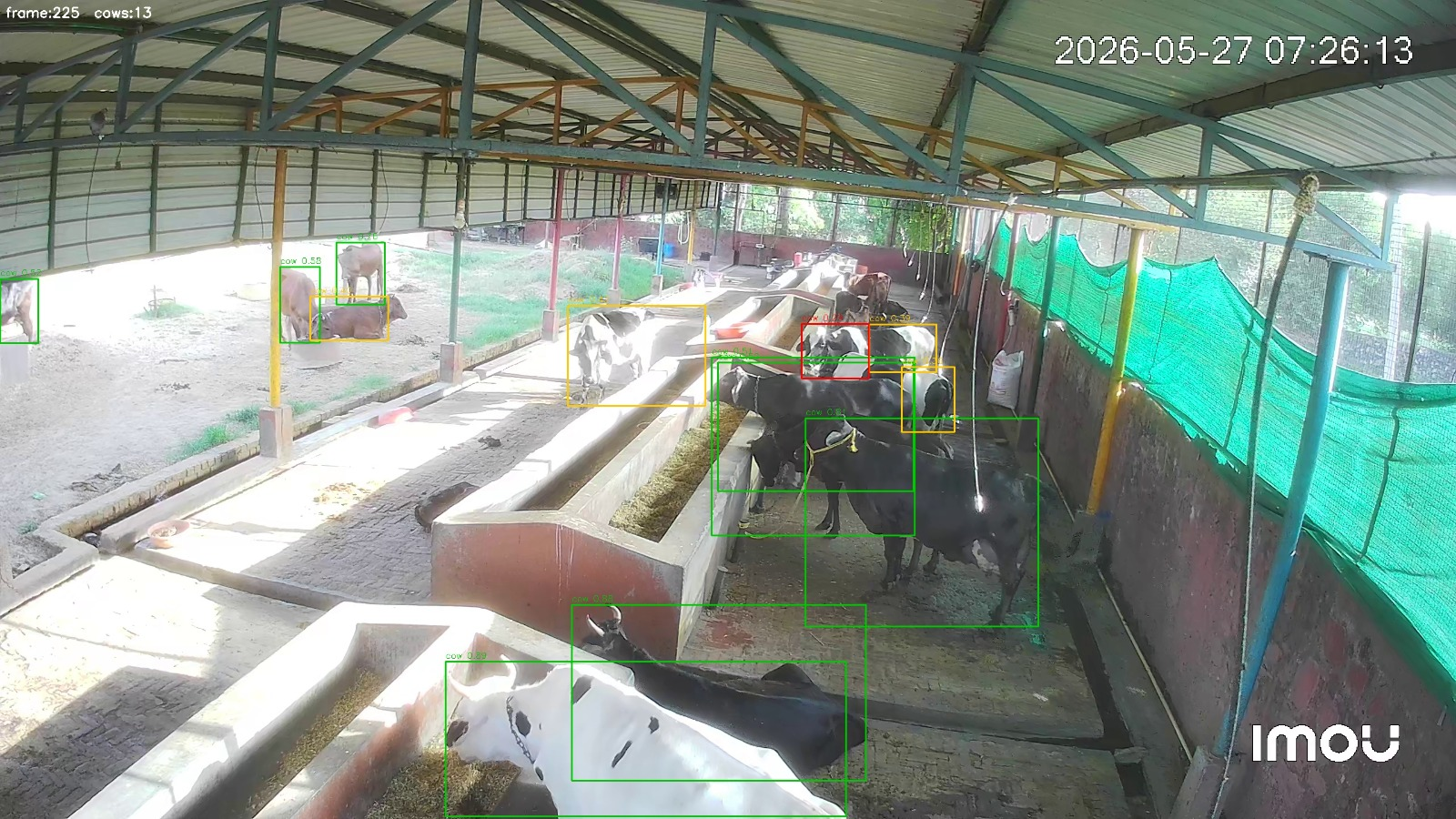 AI-powered cattle monitoring detecting animals in a barn with bounding boxes