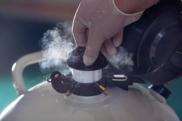 Liquid nitrogen tank storing elite bull semen straws