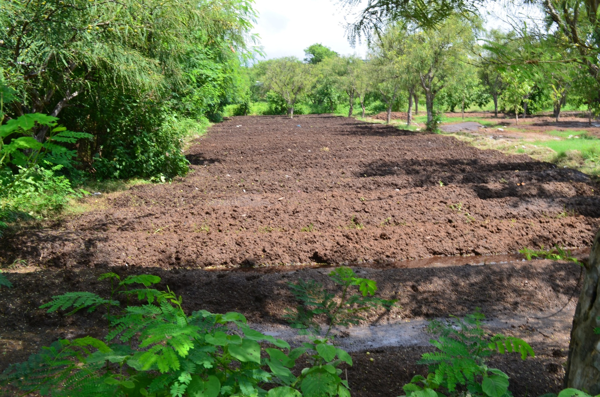 HDPE biofertilizer grow-bed with composted organic matter